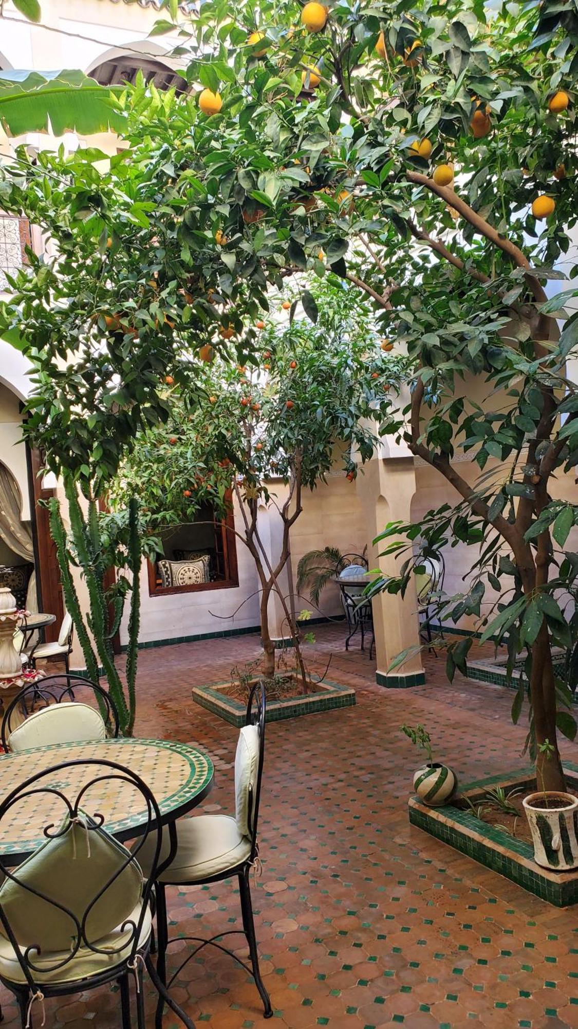 Riad Tidar By Phoenix Marrakesh Bagian luar foto