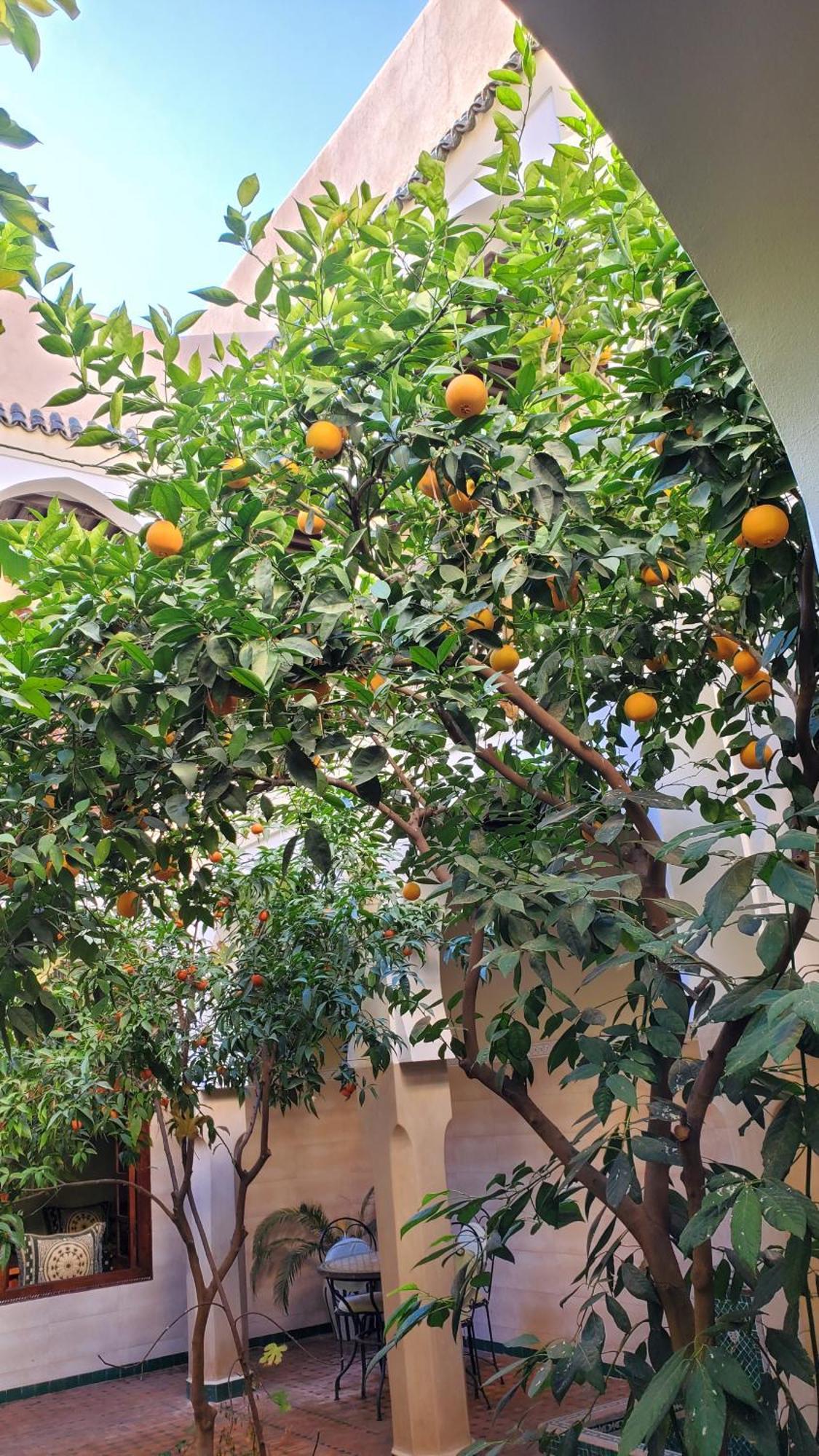 Riad Tidar By Phoenix Marrakesh Bagian luar foto