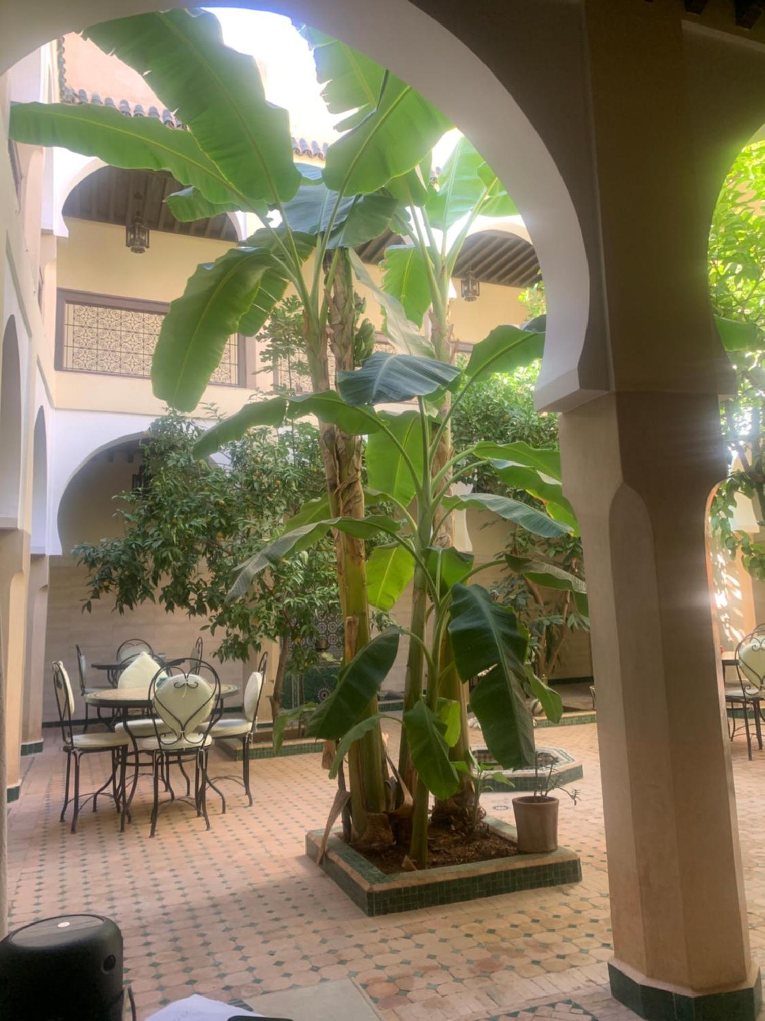 Riad Tidar By Phoenix Marrakesh Bagian luar foto