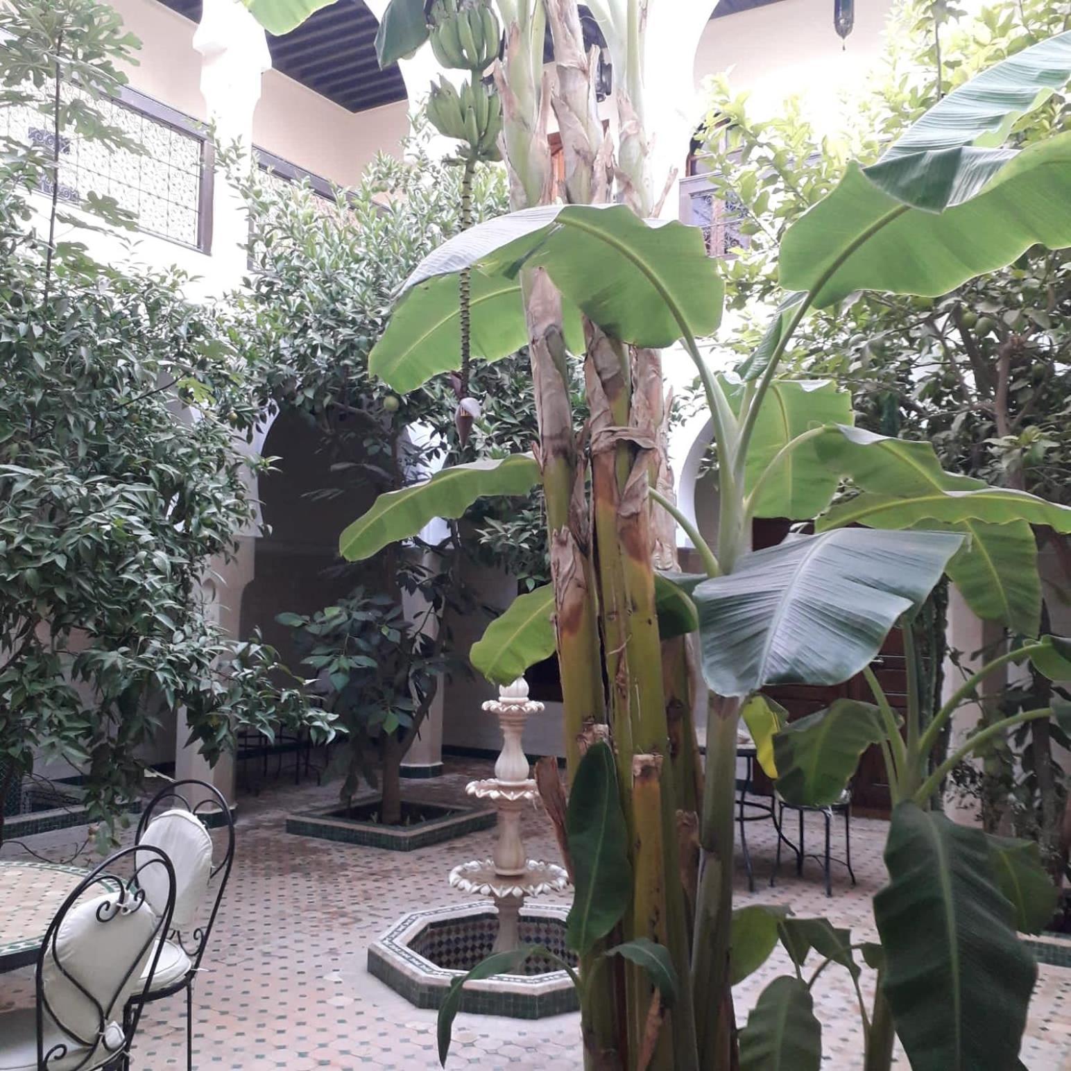 Riad Tidar By Phoenix Marrakesh Bagian luar foto