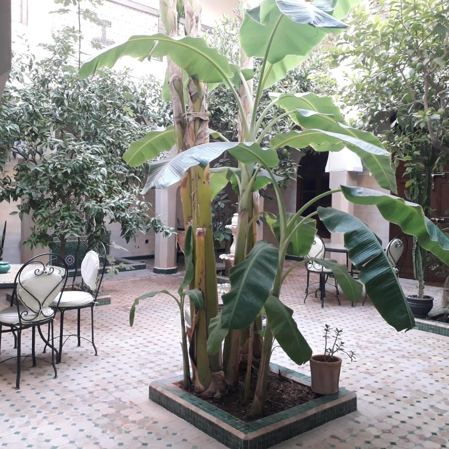 Riad Tidar By Phoenix Marrakesh Bagian luar foto